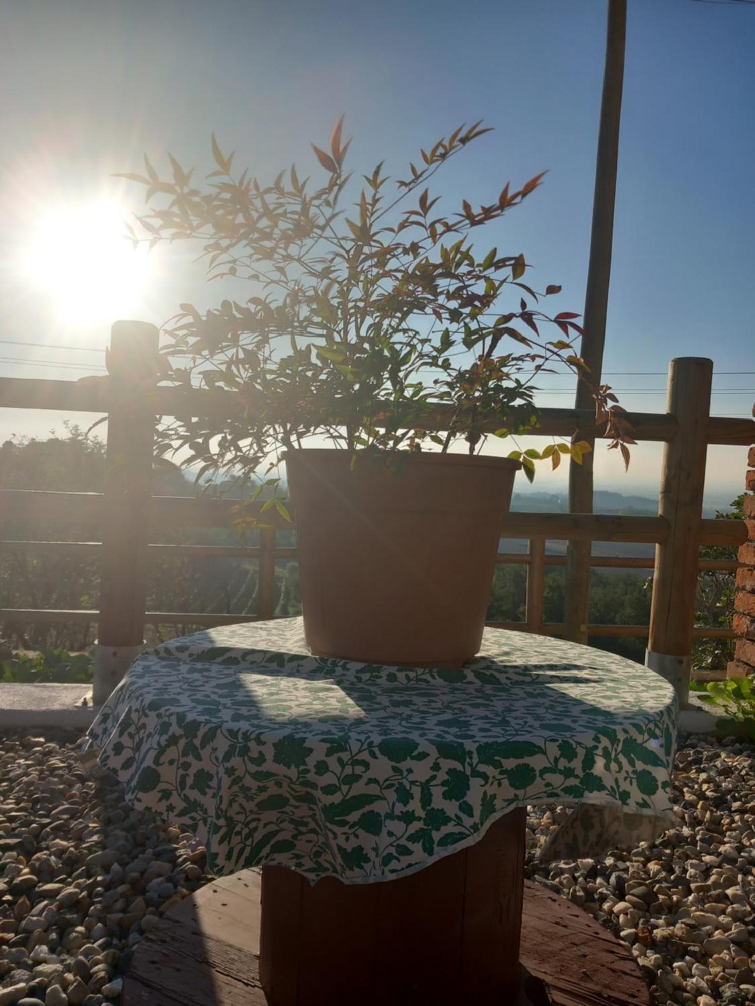 Il Cortile Di Greta Panzió Lu (Piedmont) Kültér fotó