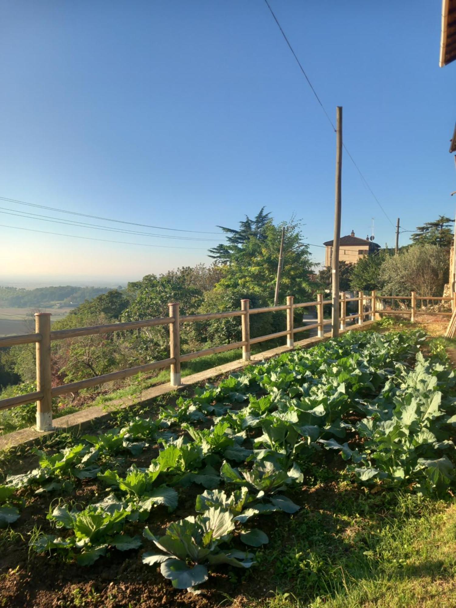 Il Cortile Di Greta Panzió Lu (Piedmont) Kültér fotó